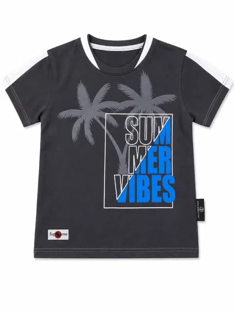 Boys Summer Vibes Printed T-Shirt – Stylish Graphic Cotton Half Sleeve Tee
